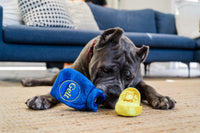 Paw-nukkah Gelt-y Treats Plush Squeaky Hanukkah Holiday Dog Toy Set - 3 Pc