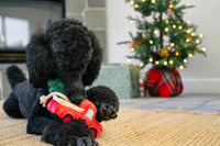Home for the Holidays Holiday Hauler Christmas Truck Plush Squeak Dog Toy
