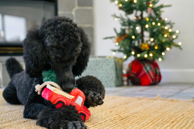 Home for the Holidays Holiday Hauler Christmas Truck Plush Squeak Dog Toy