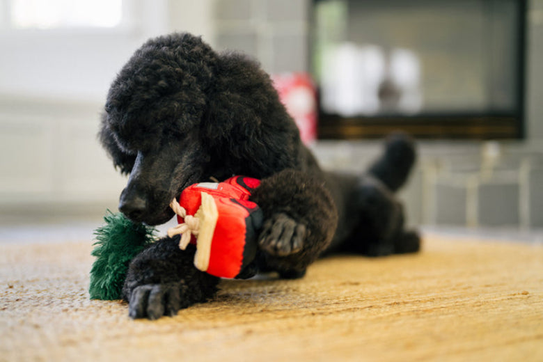 Home for the Holidays Holiday Hauler Christmas Truck Plush Squeak Dog Toy