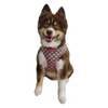 Barker's Bowtique Harnesses HD Ultra Comfort Pink and Green Reflective Dog Harness