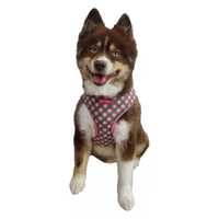Barker's Bowtique Harnesses HD Ultra Comfort Pink and Green Reflective Dog Harness