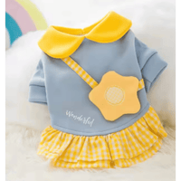 AE DRESSES Blue / XS Wonderful Daisy or Carrot Spring Dog Dresses - Blue or Orange