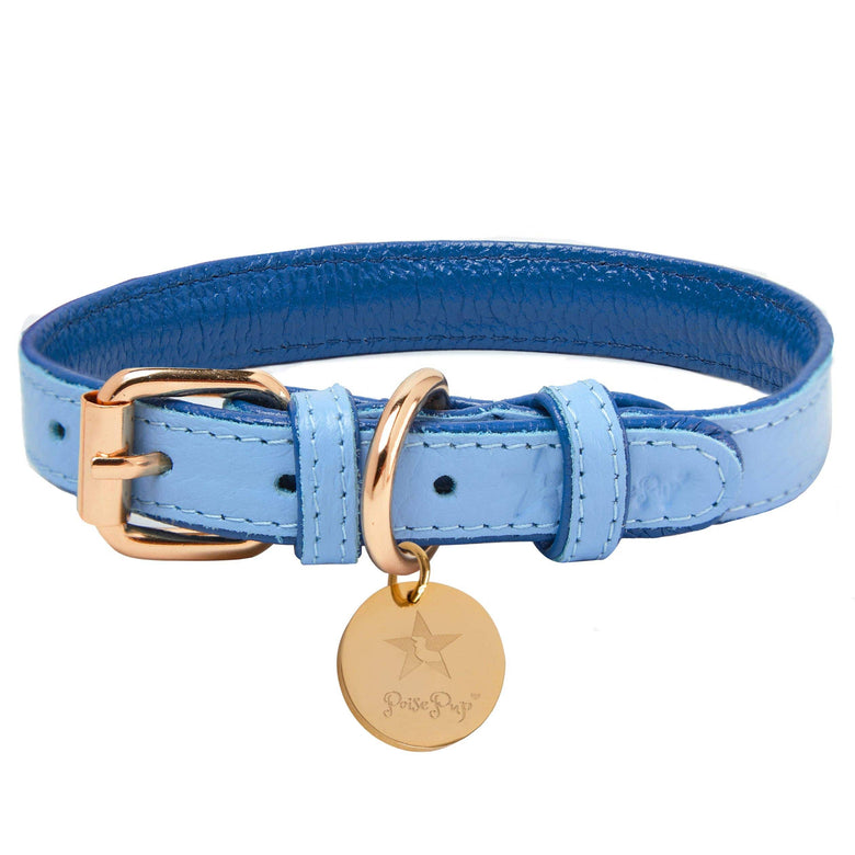 PoisePup Collars-Leashes S Ocean Vibes Blue Luxury Leather Dog Collar