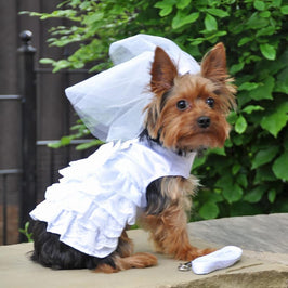 Doggie Design, Inc Dresses XXS White Satin Wedding Dress, Headpiece, Leash & D-Ring