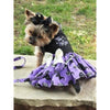 Doggie Design, Inc. Dresses Too Cute To Spook Halloween Harness Pet Dress with matching Leash