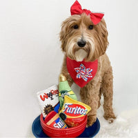 Huxley & Kent dog toys Furitos Plush Dog Toy - 2 Sizes
