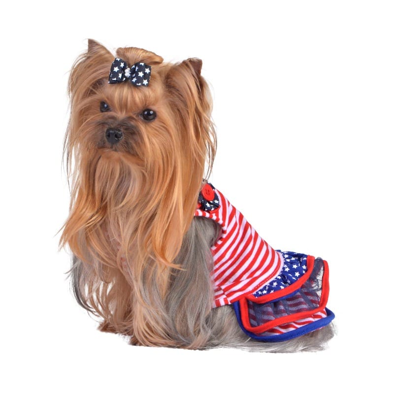 Barker's Bowtique Dresses XS Striped Ruffle Pet Dress