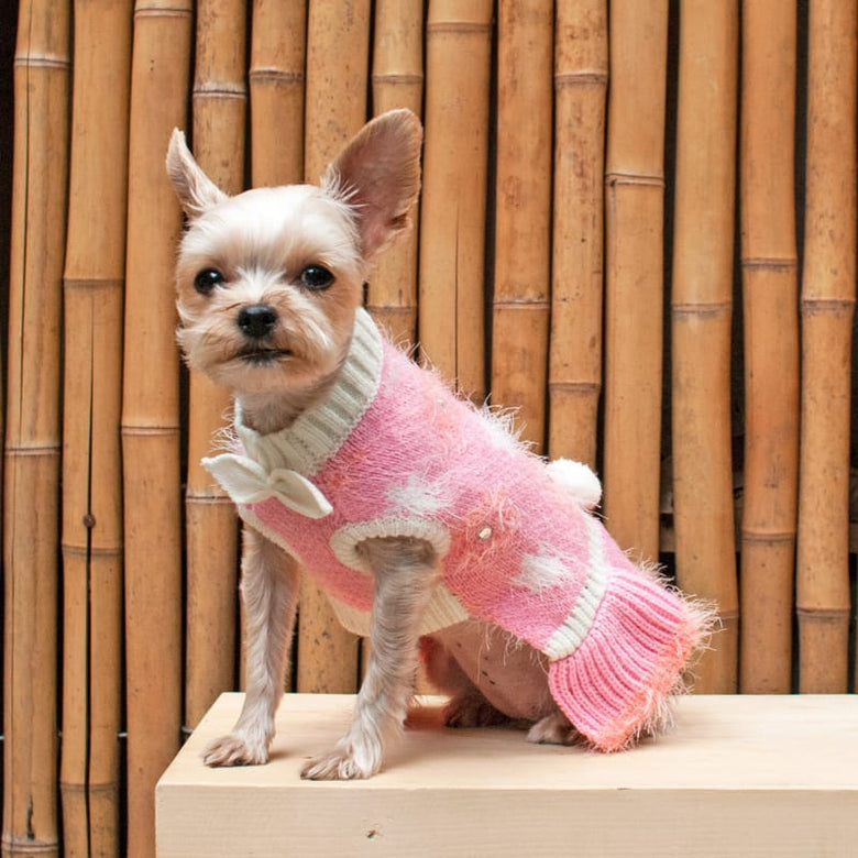 Dogo Pet Fashions Dresses Daisy Sweater Pet Dress