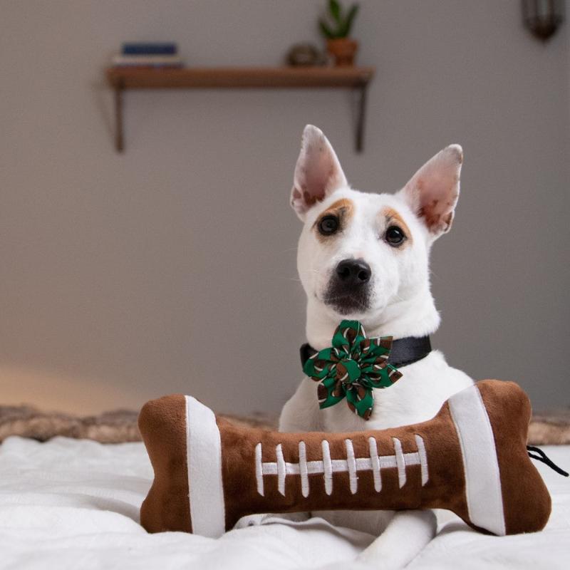 Huxley & Kent dog toys Football Bone Plush Squeak Dog Toy - 2 Sizes
