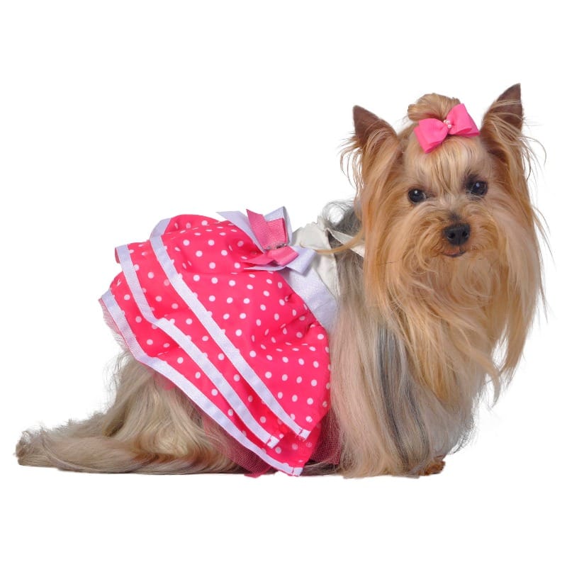 Barker's Bowtique Dresses SM Strappy Pink Polka Dot Tutu with Ribbon Jeweled Adornment Dog Dress