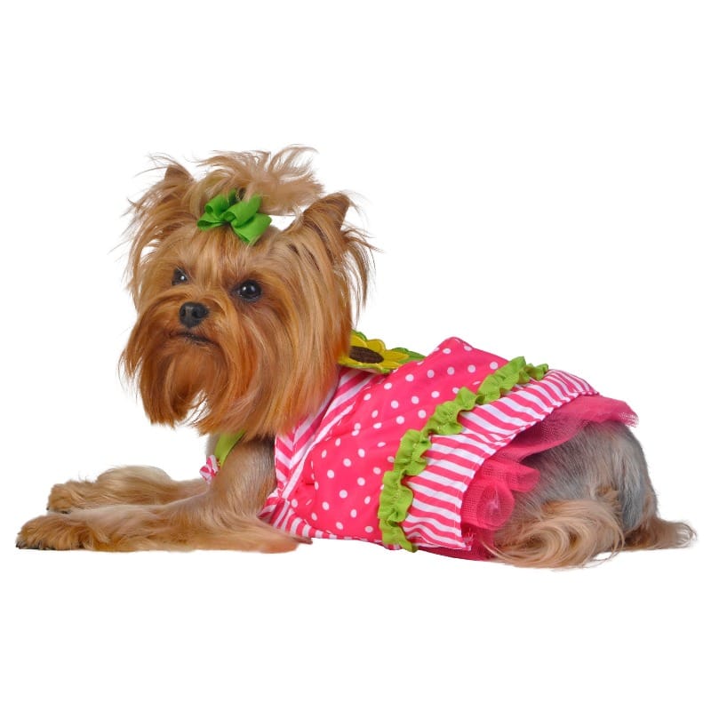 Barker's Bowtique Dresses Babydoll Sunflower Pink & Green with Polka Dots and Stripes Dog Dress