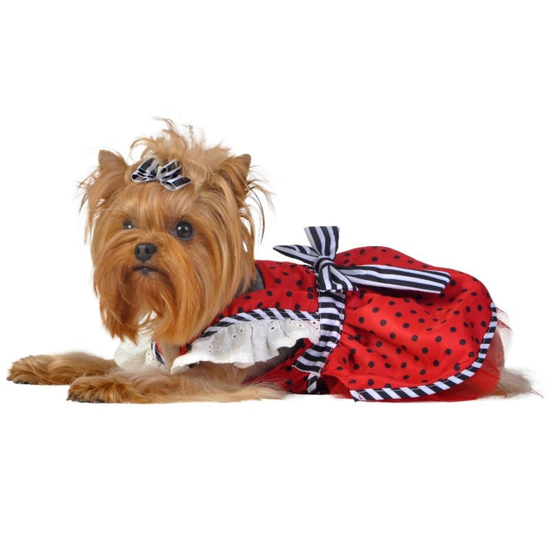 Barker's Bowtique Dresses S Red Polka Dot with Stripes Apron Flutter Dog Dress