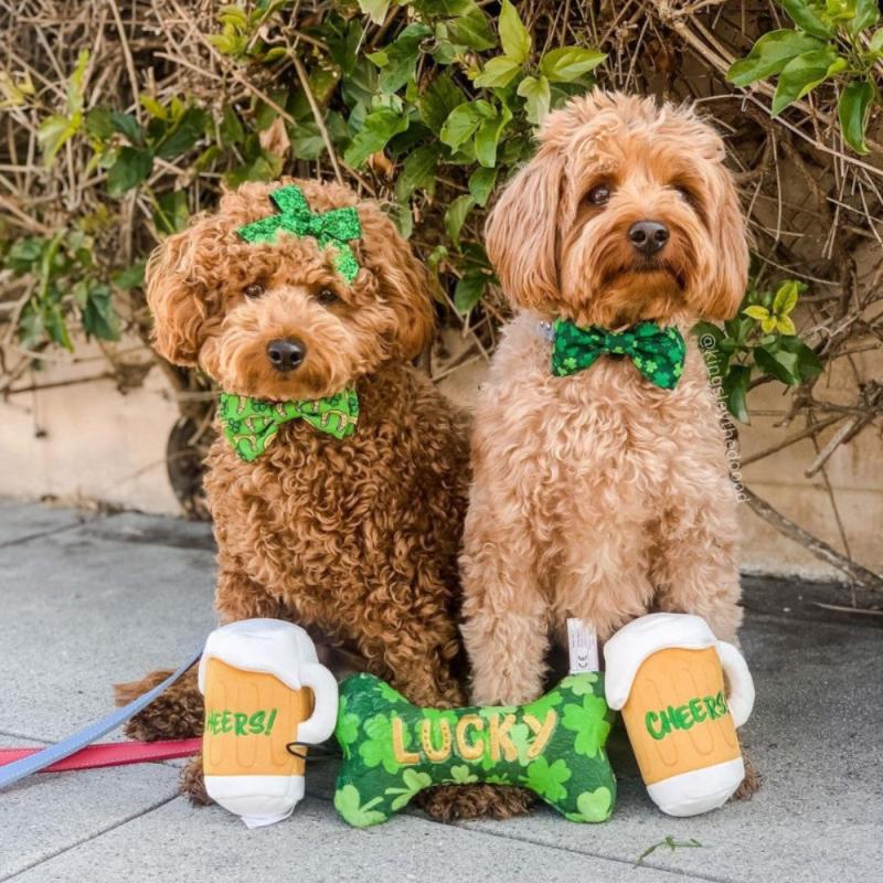 Huxley & Kent dog toys Lucky Charm Bone Dog Toy - 2 Sizes