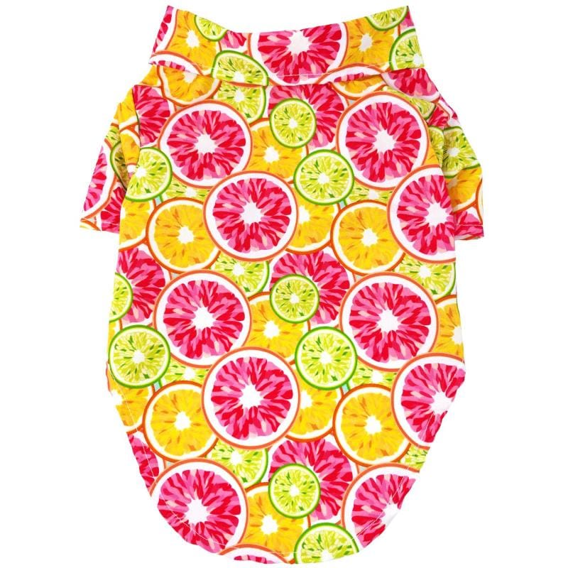 Doggie Design, Inc Collared Shirts 2XS Hawaiian Citrus Slices Colorful Camp Dog Shirt