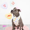 Pearhead, Inc. Bandanas Valentine's Conversation Hearts Colorful Dog Bandana, M/L