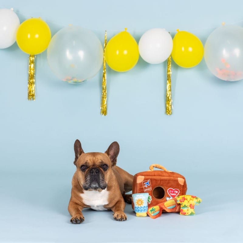 Pet Shop by Fringe Studio dog toys Pack Your Bags Hide & Seek Interactive Dog Toys