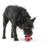 West Paw dog toys Holiday Toppl Puzzle & Treat Interactive Dog Toy