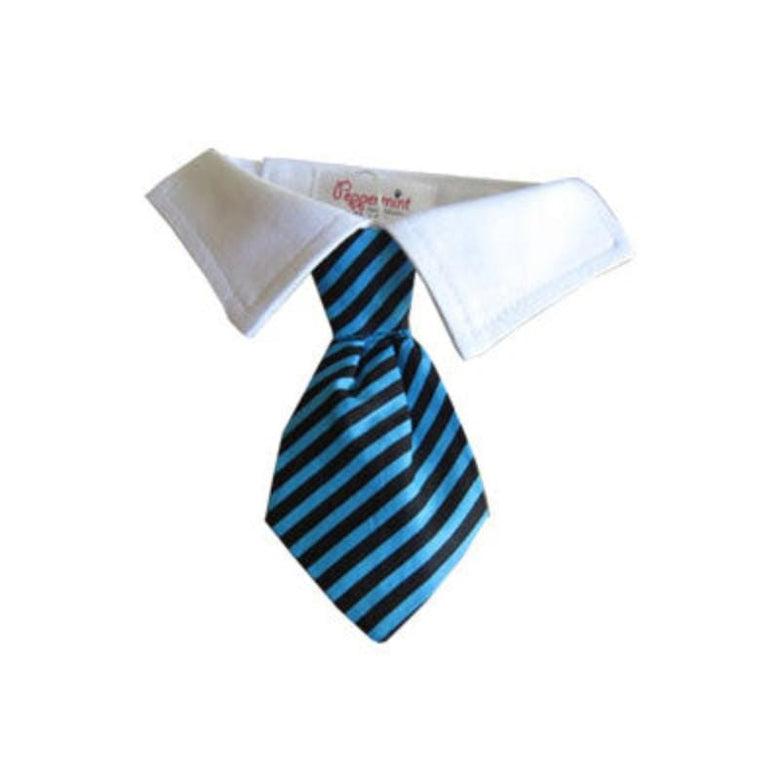 Pooch Outfitters Collars XXS/XS Chase Shirt Tie Dress Up Dog Collar