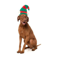 FuzzYard Hats Elf Pet Hat