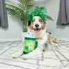 Huxley & Kent Toys Lucky Pup Irish Latte Dog Toy