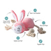 PetShop by Fringe Studio dog toys No Bunny Compares Easter Spring Rope Pink Plush Squeak Dog Toy