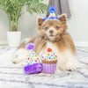 Huxley & Kent Toys It's My Barkday Dog Toy 2pk
