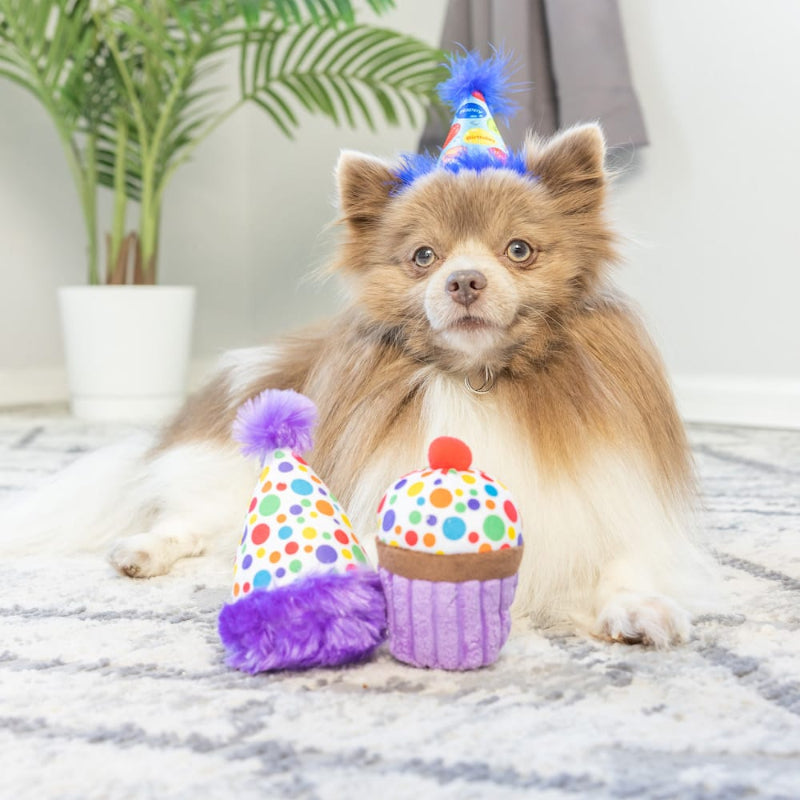 Huxley & Kent Toys It's My Barkday Dog Toy 2pk