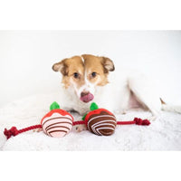 Pearhead, Inc. dog toys You're Berry Cute Strawberry Rope Plush Squeak Valentine's Dog Toy