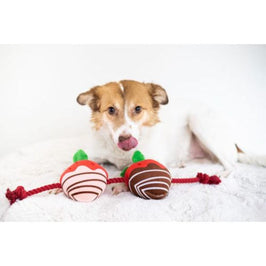 Pearhead, Inc. dog toys You're Berry Cute Strawberry Rope Plush Squeak Valentine's Dog Toy