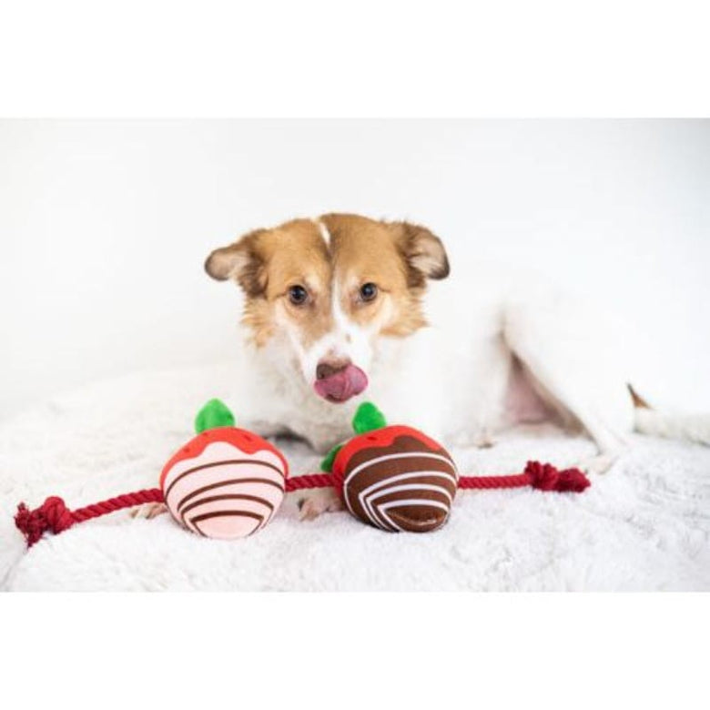 Pearhead, Inc. dog toys You're Berry Cute Strawberry Rope Plush Squeak Valentine's Dog Toy