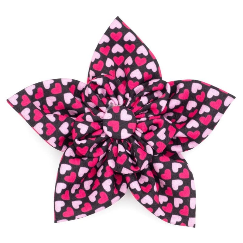 The Worthy Dog Bow Ties SM Hearthrob Flower Pet Collar Attachment