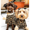 PoisePup Collars-Leashes Collar - Wildest One