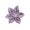 Huxley & Kent Bow Tie SM Funny Bunny & Carrots Purple Pinwheel Dog Collar Attachment - 2 Sizes