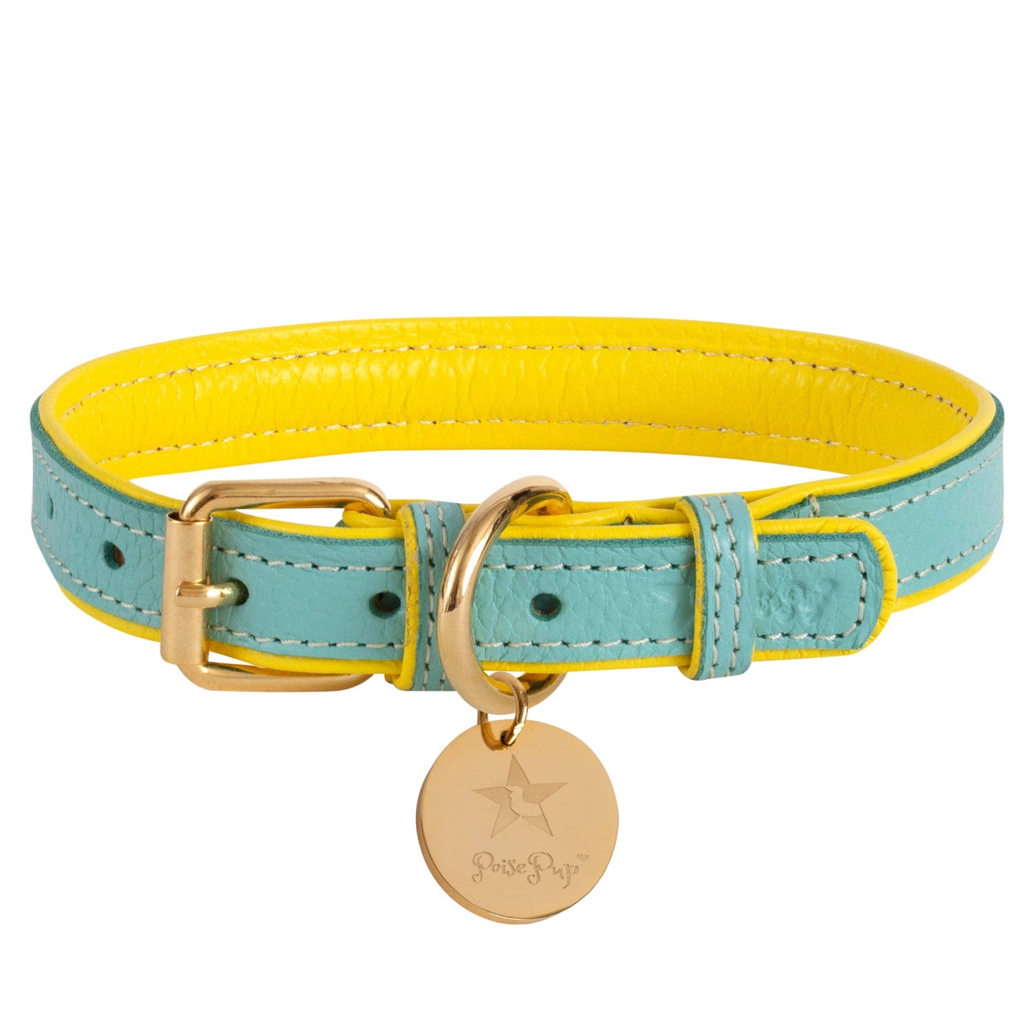 PoisePup Collars-Leashes S Collar - Sunshine Babe