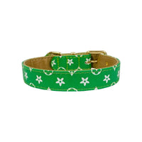 BARK by DOG Collars SM Soho Green Dog Collar