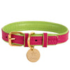 PoisePup Collars-Leashes S Collar - Candy Swirl