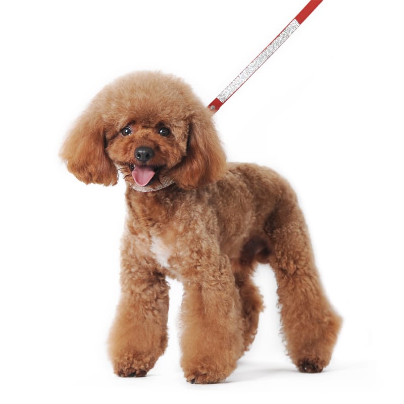 Dogo Pet Fashions Leashes Red VIP Bling Leash