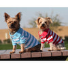 Doggie Design, Inc Collared Shirts Colored Striped 100% Cotton Dog Polo Shirts - 3 Colors