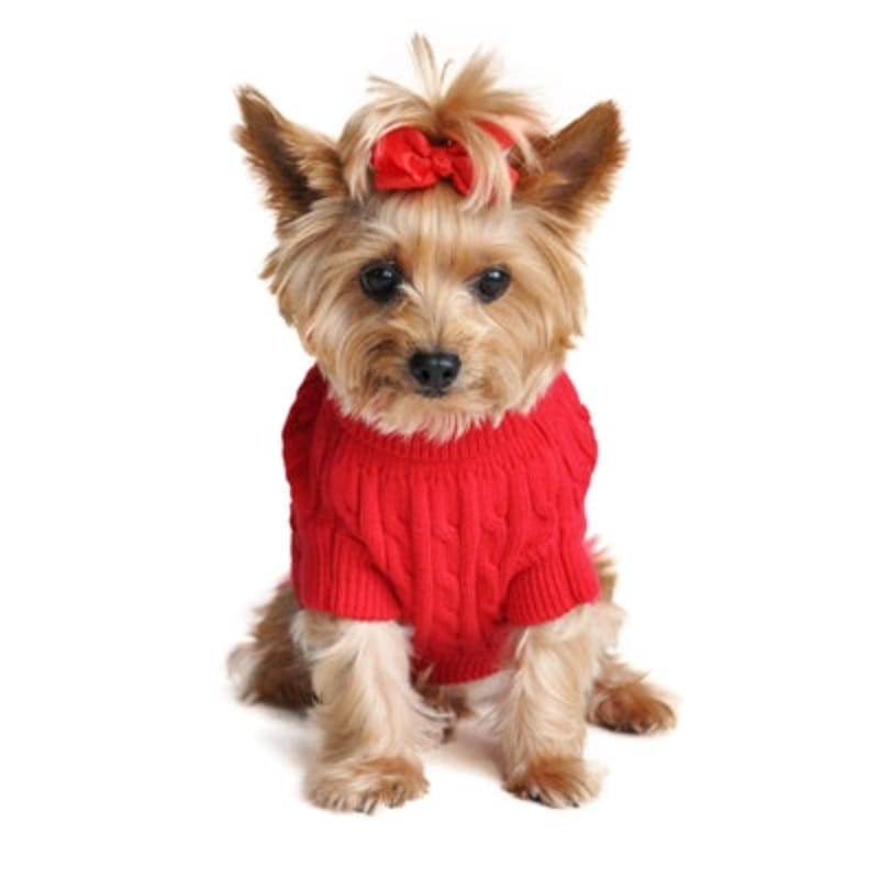 Doggie Design, Inc. Sweaters Combed 100% Cotton Cable Knit Fiery Red Dog Sweater