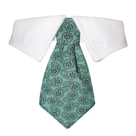Pooch Outfitters Collars XXS/XS Aiden Shirt Tie Pet Collar