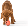 West Paw dog toys Zogoflex Echo Rumbl Treat Interactive Dog Toy