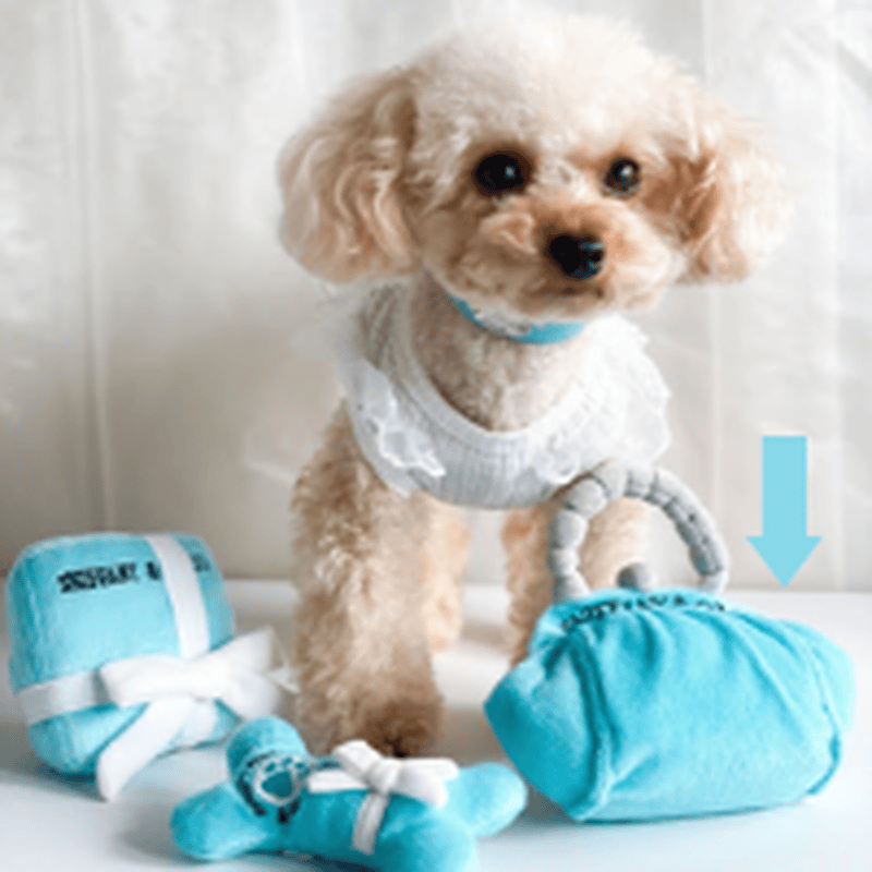 Dog Diggin Designs dog toys Sniffany Purse Plush Squeak Dog Toy