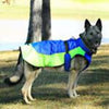 Doggie Design, Inc. Jackets-coats Alpine All-Weather Dog Coat - Blue and Green