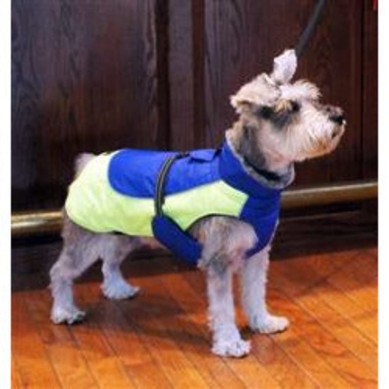 Doggie Design, Inc. Jackets-coats Alpine All-Weather Dog Coat - Blue and Green
