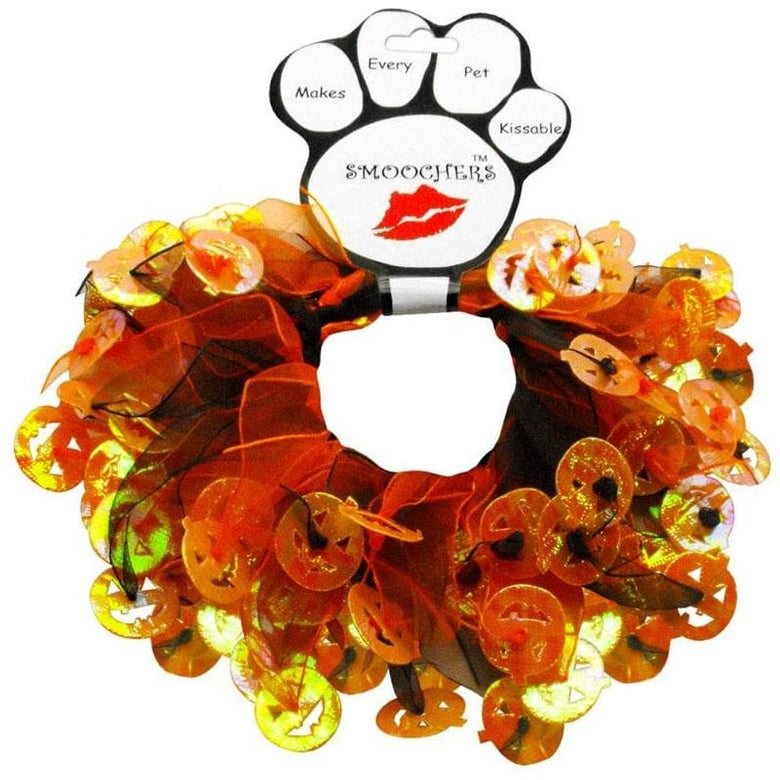 Mirage Pet Products Collars S Pumpkins Orange Halloween Pet Smoochers