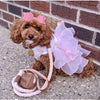 PoisePup Collars Poise Pup Bella Rose Brown and Pink Luxury Dog Collar