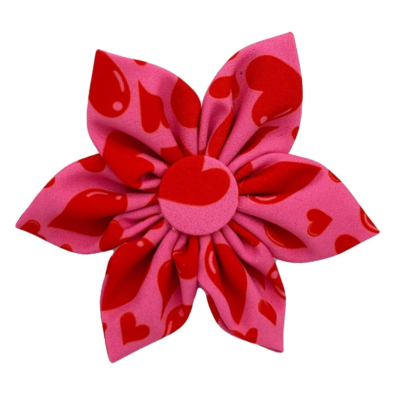 Huxley & Kent Bow Ties SM My Puppy Love Red Hearts Pink Pinwheel Flower Pet Collar Attachment - 2 Sizes