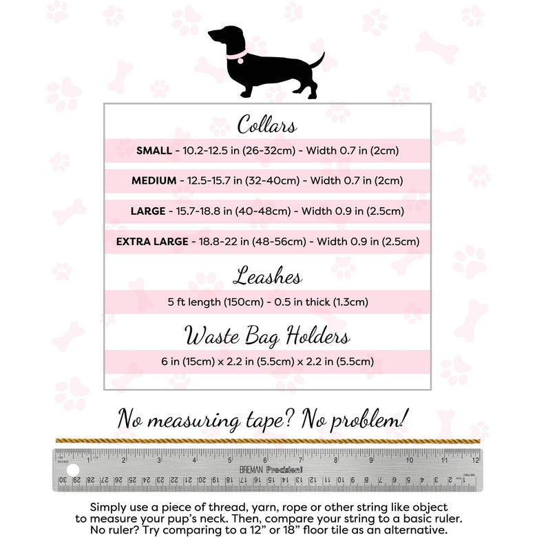 PoisePup Collars-Leashes Collar - Sunshine Babe