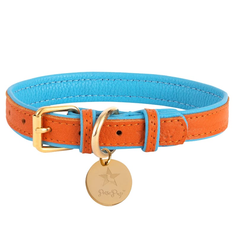 PoisePup Collars S Luxury Leather Dog Color Vibrant Sunset (Orange / Blue)